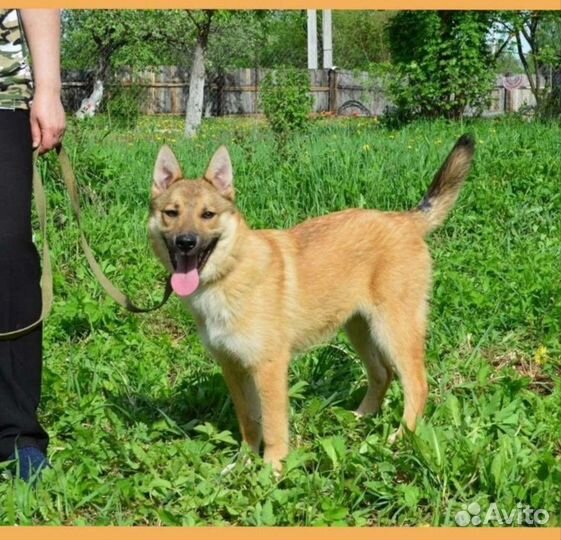 Классная девочка подросток