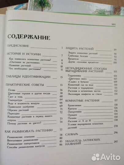 Комнатные растения