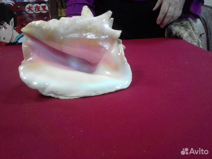 Аксессуары для аквариума