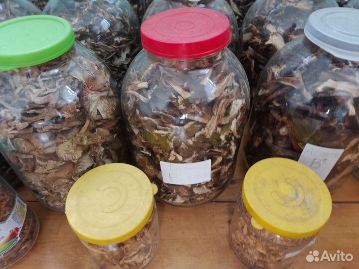 Грибы сушеные, белые, подосиновики, опята, лисички