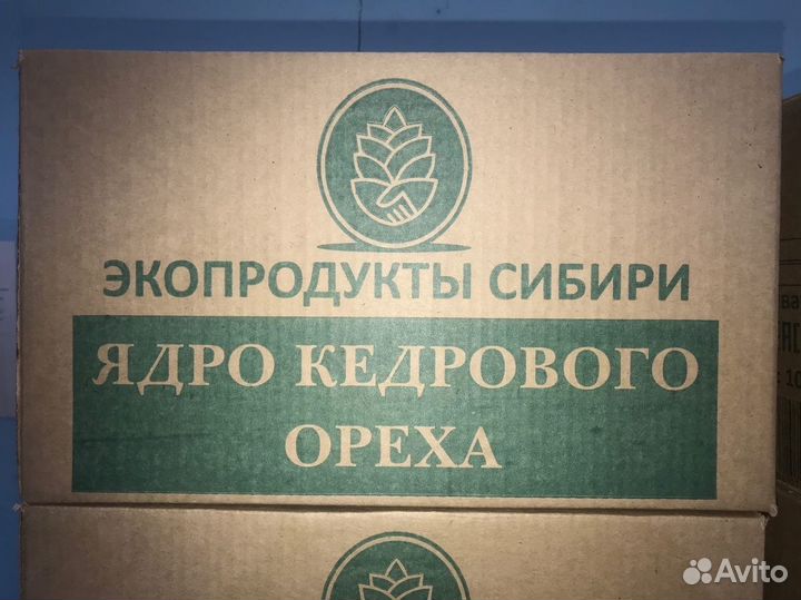Ядро кедрового ореха