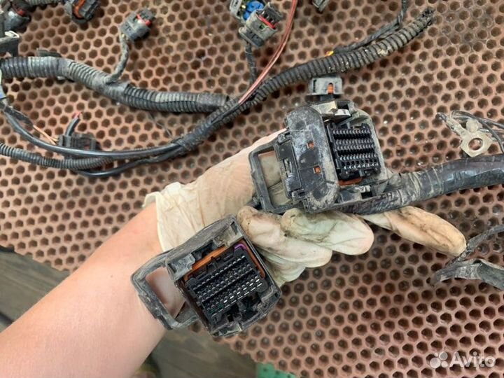 Жгут проводов двигателя УАЗ Патриот 23632 пикап