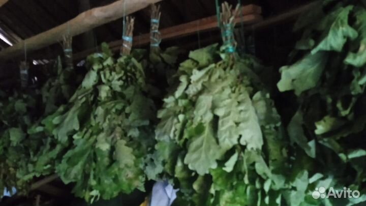 Веники для бани