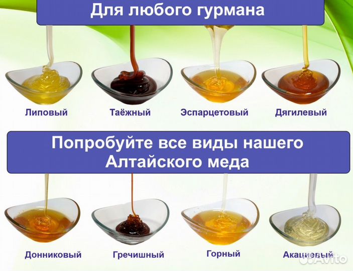 Алтайский мёд 2023 г (опт.)