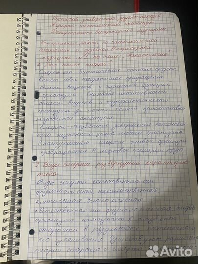 Перепишу от руки лекции и конспекты