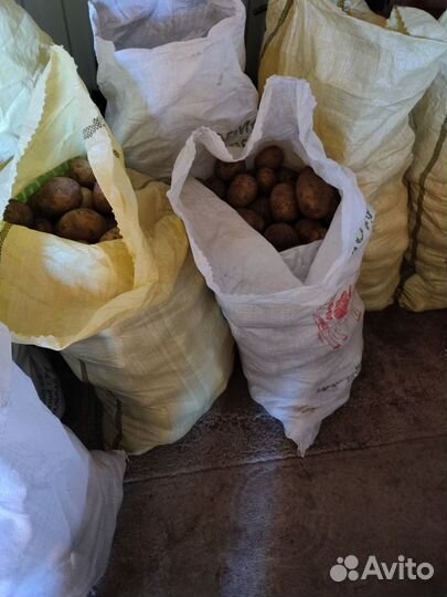 Продам картофель с доставкой