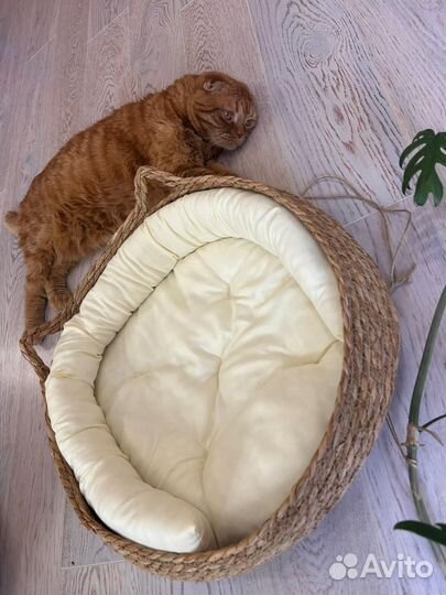 Лежанка для кошек и собак плетёная