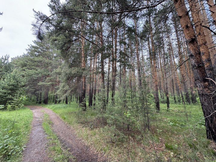 Участок 12 сот. (ИЖС)