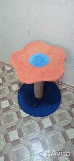 Когтеточка для кошки