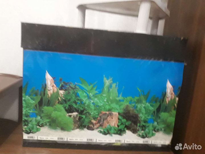 Аквариум