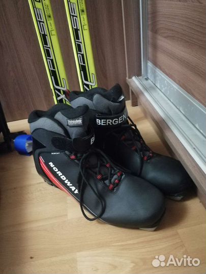 Беговые лыжи