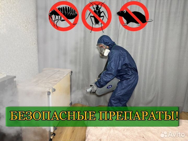 Уничтожение тараканов, клопов, блох, клещей