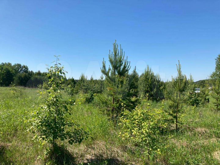 Участок 13 сот. (ИЖС)