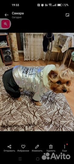 Для мелких собак, зимний комбинезон