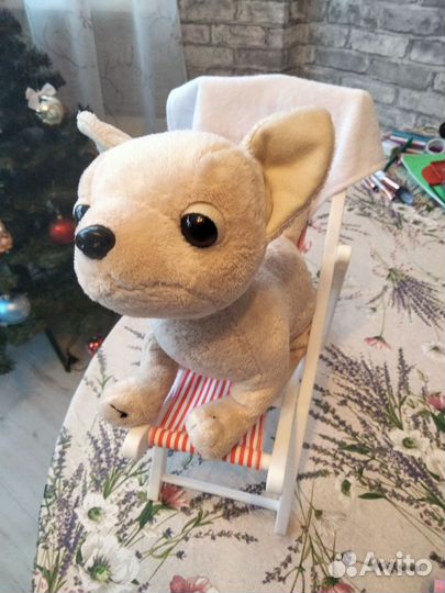 Собачка Chi chi love