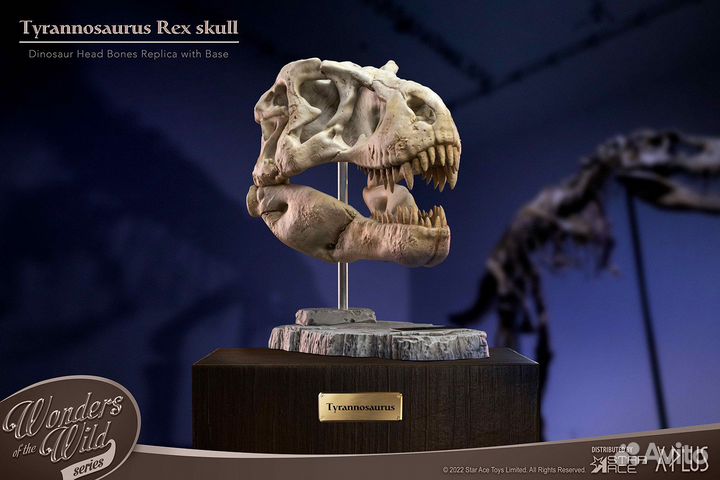 T-Rex Head Skull