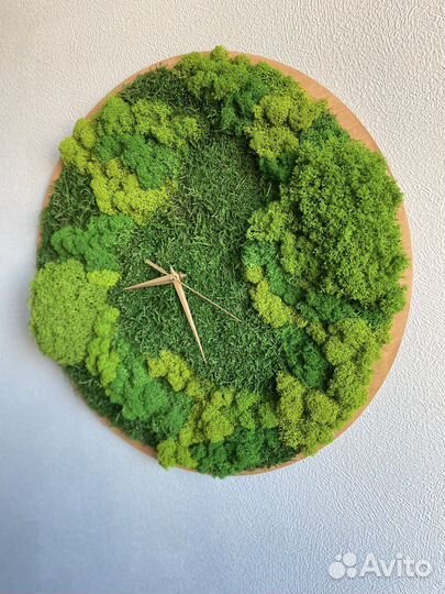 Часы из стабилизированного мха, флорариумы с мхом