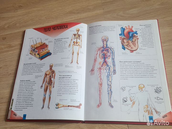 Все обо всем энциклопедия