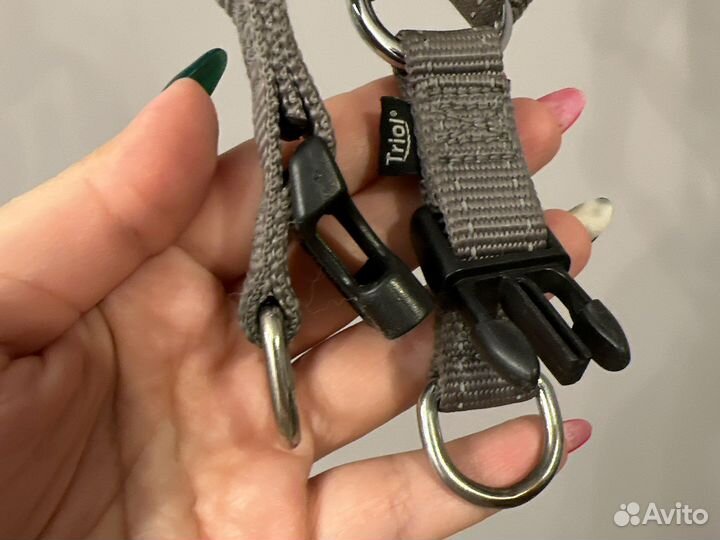 Шлейка для собаки