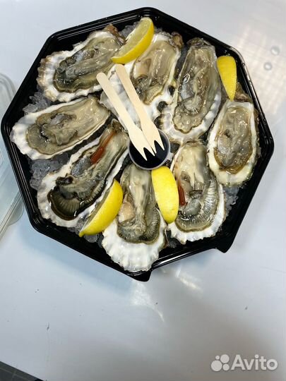 Живые устрицы