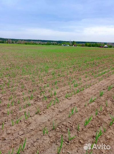 Поиск инвестора пассивный доход