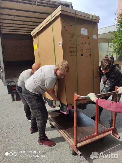 Грузчики и Машины Переезды