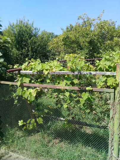 Участок 6,5 сот. (ИЖС)