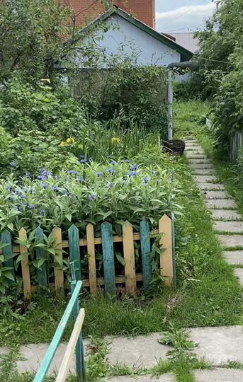 Дом 60 м² на участке 14,6 сот.