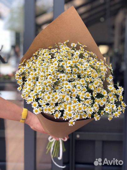 Ромашки Букет из полевых ромашек (танацетум)