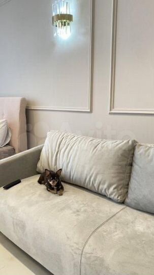 2-к. квартира, 57,3 м², 15/17 эт.