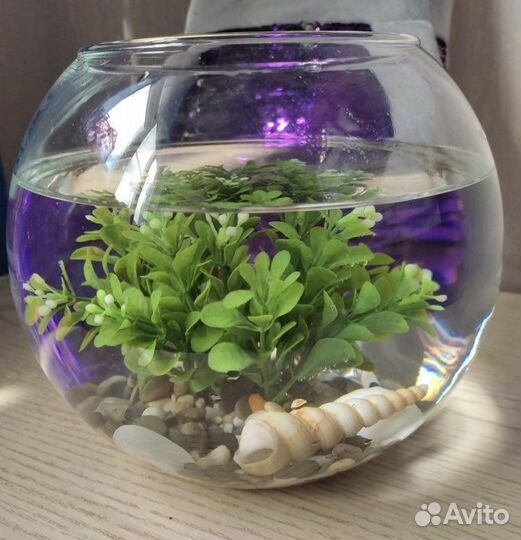 Новый аквариум