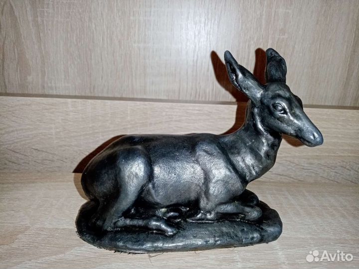 Олень, лань