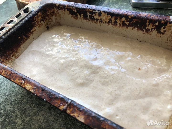 Закваска для домашнего хлеба