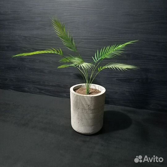 Горшки, Вазоны, Кашпо под заказ из бетона