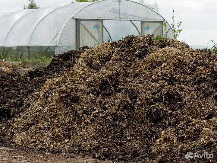 Навоз в наличии. Литвиново