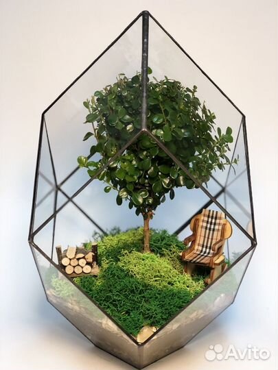 Флорариум на заказ