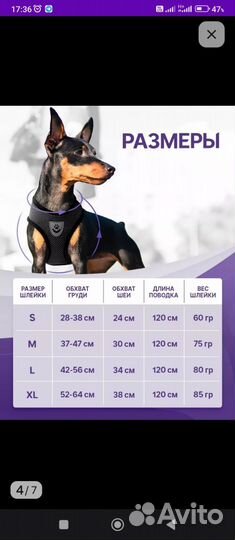 Шлейка для собак и кошек