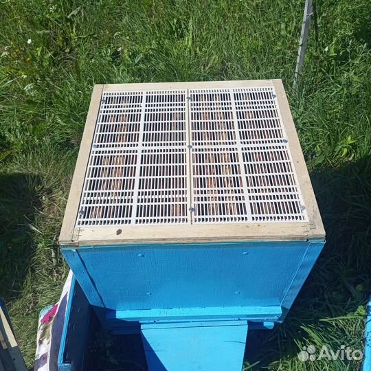 Двухкорпусные Ульи