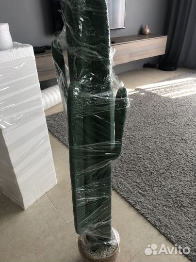 Интерьерные кактусы 2 шт