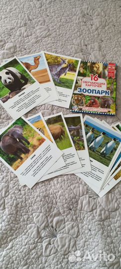 Развивающие карточки животные и птицы