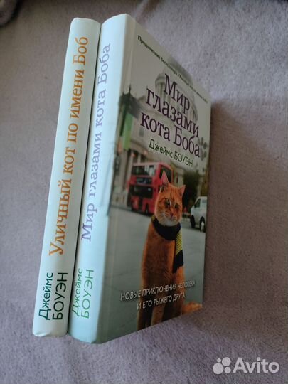 Книги. Джеймс Боуэн