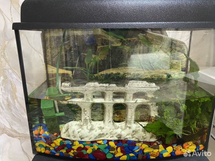 Аквариум