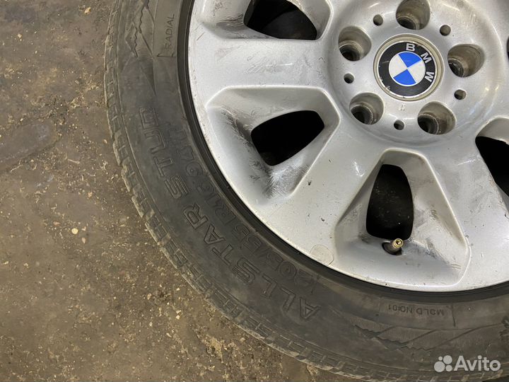 Sava Eskimo HP 205/55 R16