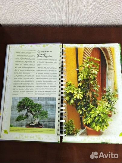 Волкова Е. Лучшие комнатные цветы: альбом-каталог