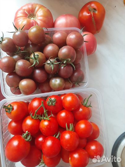 Помидоры черри