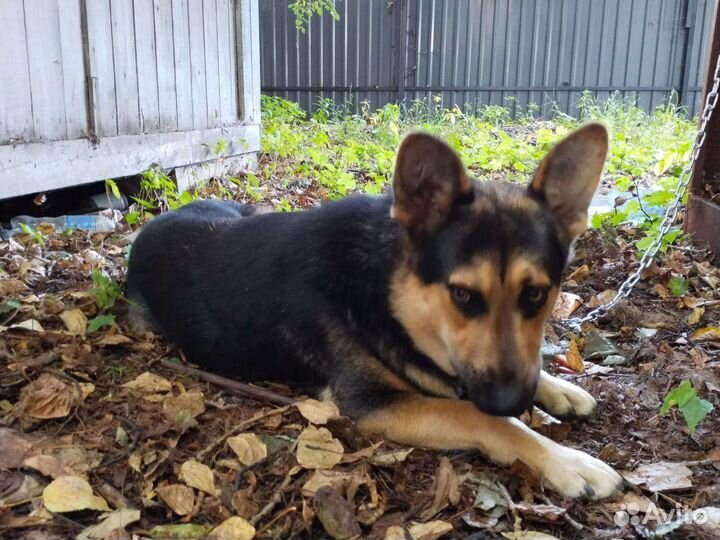 Мальчик - подросток