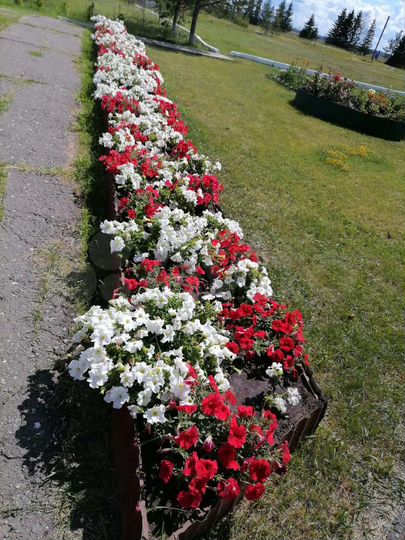 Коттедж 208 м² на участке 5 га