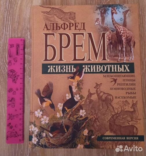 Энциклопедия жизнь животных