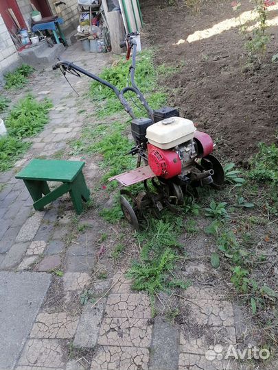 Сад благоустройство