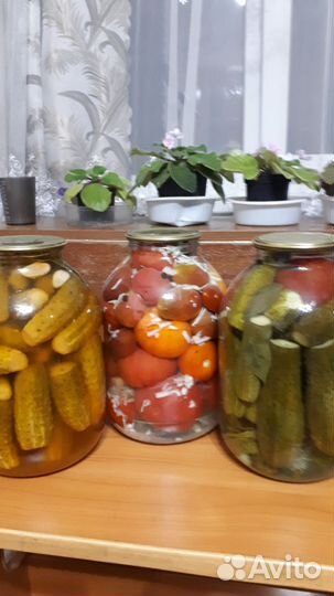 Консервация